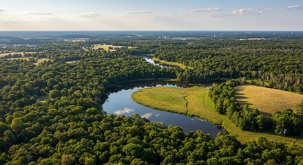 a large green forest
