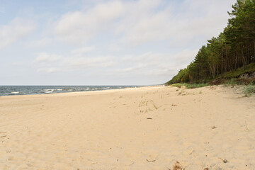 A beach with a clear blue sky and a few trees in the background