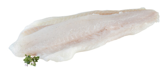 Sea bass fillet cut out isolated transparent background