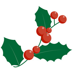 Christmas holly berry leaves. Vector illustration. Holly Berry Christmas.  © Hann Design