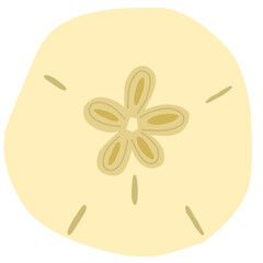 Simple Flat Illustration of Sand Dollar