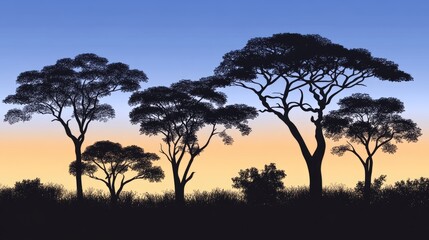 Obraz premium Silhouette of african trees at sunrise.