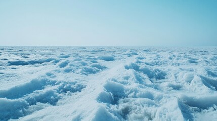 Obraz premium Frozen expanse of a vast, icy plain.