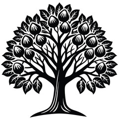 Walnut trees icon set isolated on white background