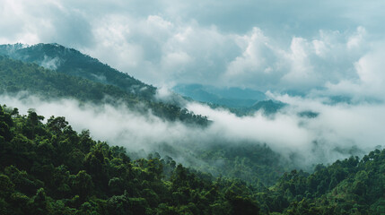 Naklejka premium Misty mountain landscape stock photo: serene forest scene with clouds and green trees background image
