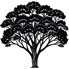 Acacia trees icon set isolated on white background