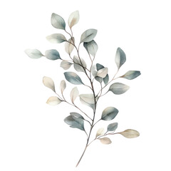 Obraz premium Watercolor Leaf Branch PNG Transparent