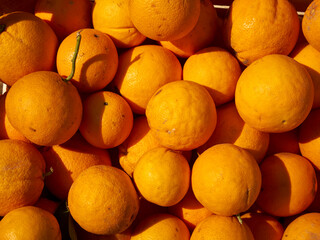 A pile of oranges for the Ivrea (Piedmont, Italy) Carnevale fight.
