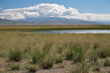Obraz premium Altai landscape in the Chuya steppe with small lake and mountains
