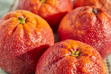 Fresh, whole blood oranges