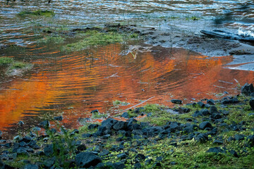A very colorful autumn in the forests and mountains of Patagonia