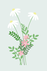 Daisy Floral Backgrounds for Graphic Design, Web Design, or Presentation Templates.