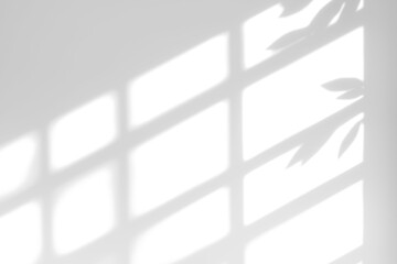 Fototapeta premium shadow overlay effects of realistic window and tree branch shadow with light blur on transparent background,Summer sunlight and shadow overlay effect