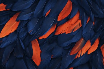 Obraz premium Vibrant dark blue and orange feather texture