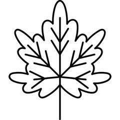 Nature leaf icon Illustration Design