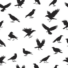 Vector seamless pattern featuring black crow silhouettes in various dynamic poses