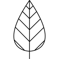Leaves Plants Illustration Design 