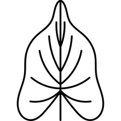 Leaves Plants Illustration Design 