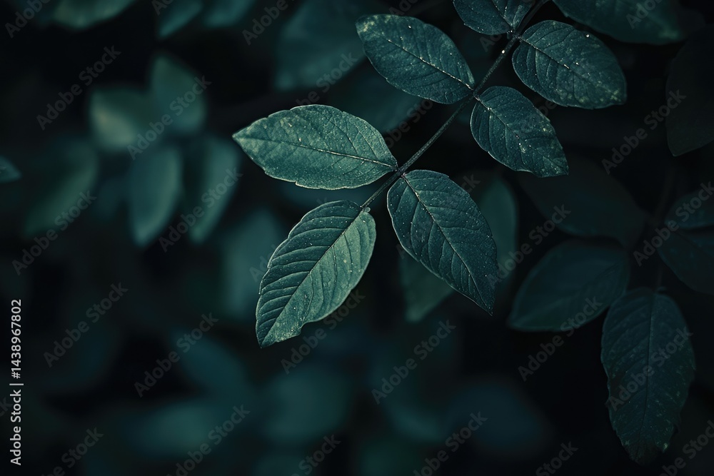 Poster lush green leaves gently swaying on a slender branch. illuminated by soft natural light. creating a 