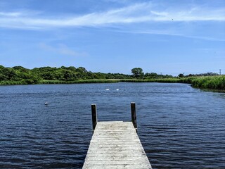 Naklejka premium Inland pond in Montauk, New York - June 2021