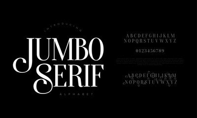 Serif Modern Elegant Display Font Vector for Branding Fashion Wedding Packaging Advertising and Logo Design