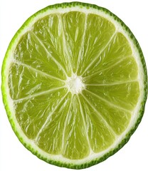 Lime slice cross-section