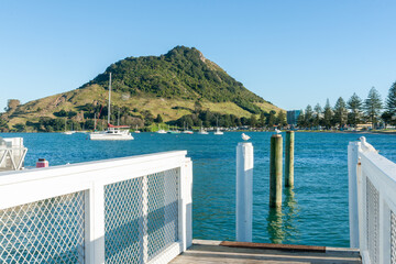 White pier rails and mooring posts with seagulls in foreground view of Pilot Bay and Mount Maunganui
