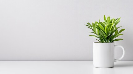 A white ceramic mug with green plant on a minimalist white surface, simple and clean composition, and indoor plant decoration concept.