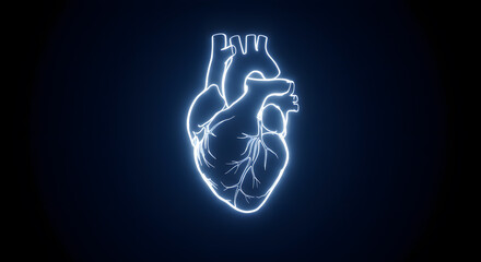 Glowing Human Heart Illustration on Dark Background for Medical Concepts