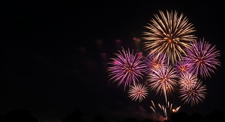 Fototapeta premium Spectacular Fireworks Display Illuminating Night Sky with Vibrant Bursts