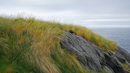 Overcast sky hangs above grassy clifftop meeting the ocean with rocks and tall grasses visible