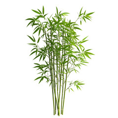 Fototapeta premium Realistic artificial bamboo plant isolated on transparent background