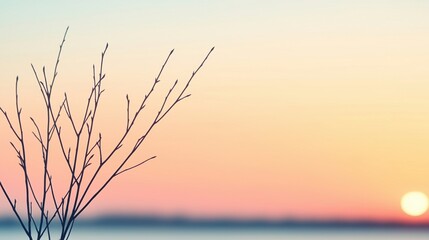 Fototapeta premium A serene scene featuring a silhouetted branch against a soft, colorful sunset sky, evoking tranquility and nature's beauty.