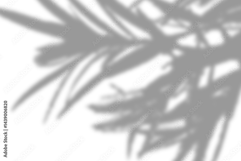 Aufkleber blurred shadow of palm leaves against a white surface, with soft lines creating an abstract design.