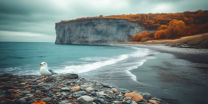 Solitary seagull on autumnal beach by cliff.
