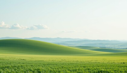 Fototapeta premium Rolling Green Hills Landscape