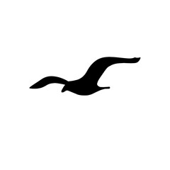 Seagull silhouette icon