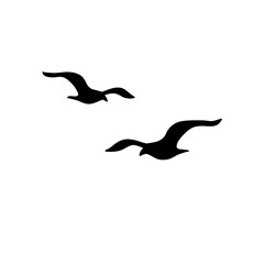 Seagull silhouette icon