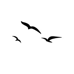 Seagull silhouette icon