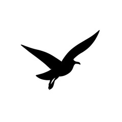 Seagull silhouette icon