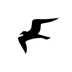 Seagull silhouette icon