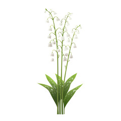 Realistic vector image of a soft white lily isolated on transparent background