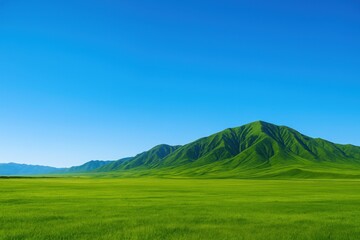 Fototapeta premium Green field with a mountain in the background under a clear blue sky during daytime