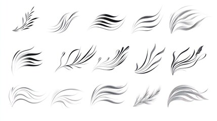 Elegant swirl design elements; white background; design resource