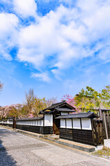 春 宮城の小さな町を歩く
(とめしとよままち)
