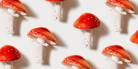 Minimal aesthetic pattern with fly agaric mushrooms, natural beauty of inedible toxic and...