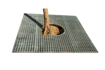 Tree steel guard grating frame square shape cover. Isolated on cutout PNG or transparent background. Tree protection and care elements in park and public areas.