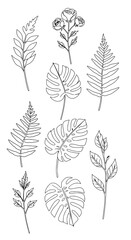 Obraz premium Botanical Line Art Collection: This minimalist collection of delicate line art drawings features a variety of tropical leaves and floral elements.