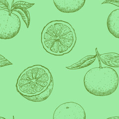 Seamless pattern with yuzu fruits in engraving style. Monochrome outline vector illustration.