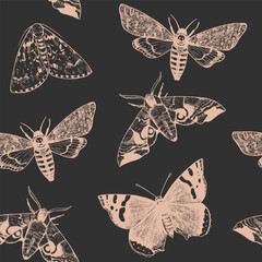 Seamless pattern with engraved moths and butterflies in realistic victorian style. Elegant monochrome print for design. Vector illustration.